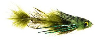 Double Gonga Olive Double Gonga Olive